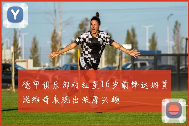 德甲俱乐部对红星16岁前锋达姆贾诺维奇表现出浓厚兴趣