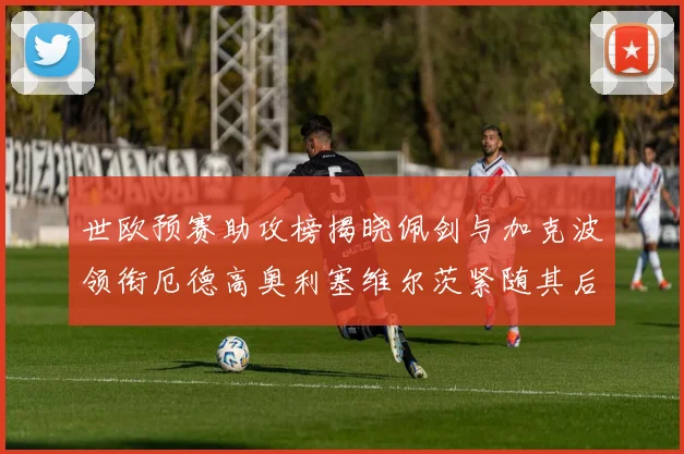 世欧预赛助攻榜揭晓佩剑与加克波领衔厄德高奥利塞维尔茨紧随其后